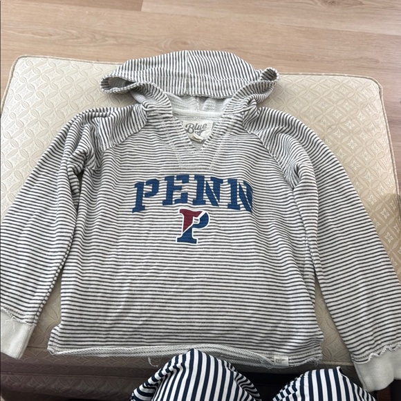Penn Striped Hoodie main image 1